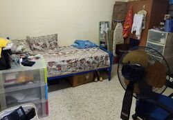 Blk 503 Bedok North Street 3 (Bedok), HDB 3 Rooms #633427541